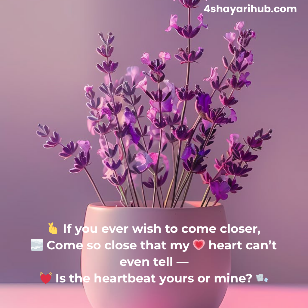 English Shayari for Bihari