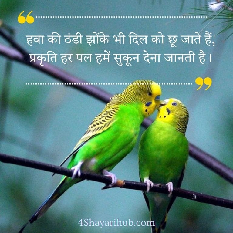 Beautiful Nature Shayari in Hindi