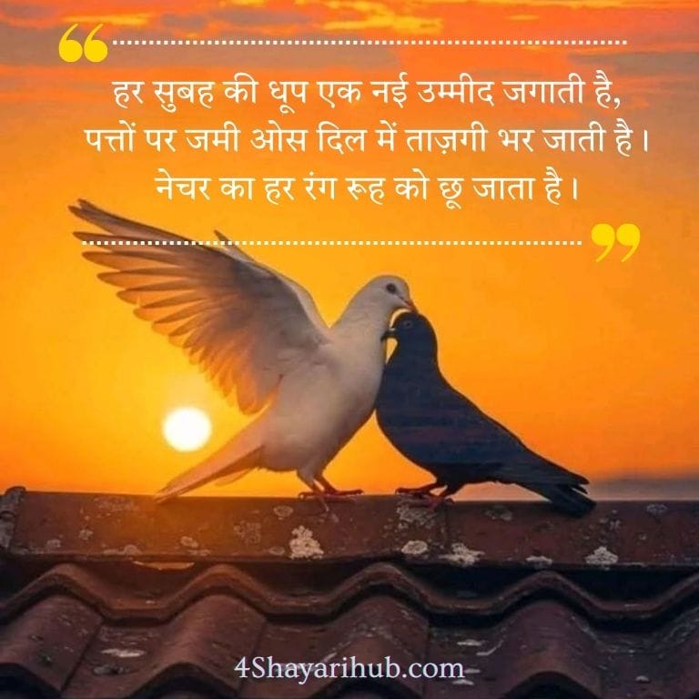 Nature Shayari in Hindi